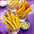 R�sultat