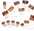 Pastels en bo�tes carton