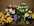 Coupes petits mod�les.jpg