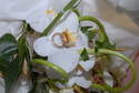 Votre Mariage...