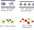 Pochoirs 3D - Etoile de mer/G�om�trique/Frise olivier/Frise cl�matites