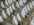 Le savon au lait d'�nesse en forme d'�ne 