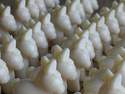Le savon au lait d'�nesse en forme d'�ne 