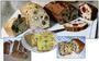Cakes sal�s