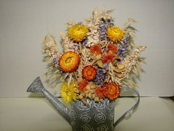 arrosoir 25.00 �