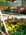 Plants de fleurs