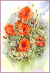 AQUARELLE extra fine 1/2 godet