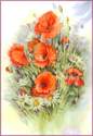 AQUARELLE extra fine 1/2 godet
